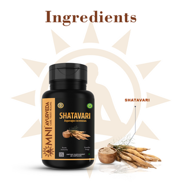 Ayurvedic Shatavari Capsules Ingredients